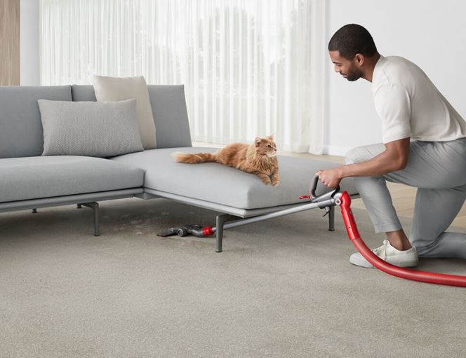 ���� ��� ����  DYSON ������ BALL ANIMAL UP32