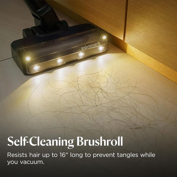 ���� ��� ������ ���� Bissell ���� Powerclean Furguard 4241T - �� 4239 