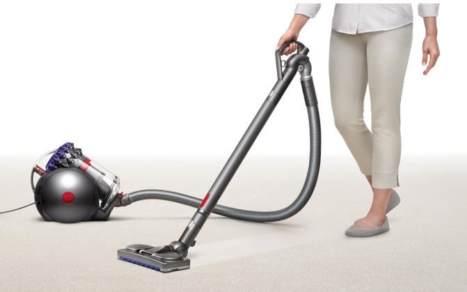 ���� ��� ����� Dyson ������  BIG BALL Absolute 2  - CY28