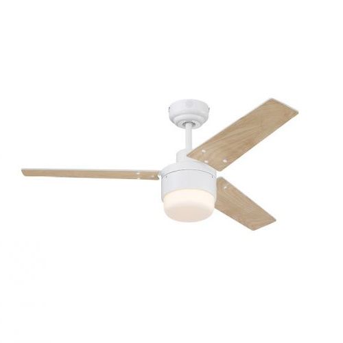 ������� ���� Westinghouse Talia 48" CCT
