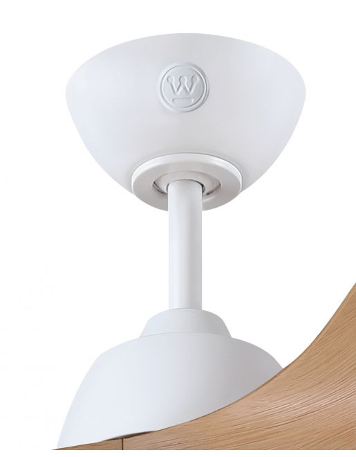 ������� ���� 42" Westinghouse ����������  ����� ERICA ���� ���  + ����� LED
