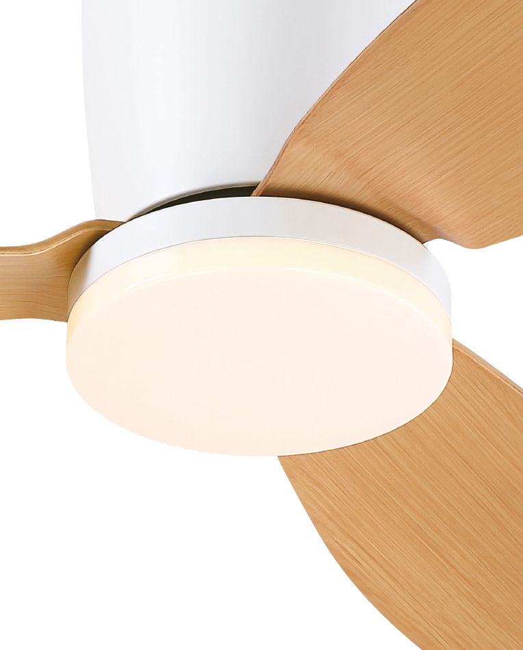 ������ ���� 48" Westinghouse ���������� CARLA ���� + ��� + ����� ��  28W - ��� + ������ ��
