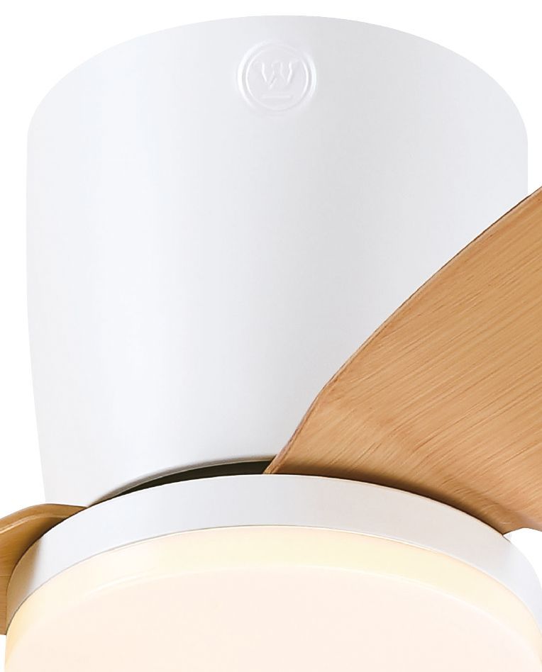 ������ ���� 48" Westinghouse ���������� CARLA ���� + ��� + ����� ��  28W - ��� + ������ ��