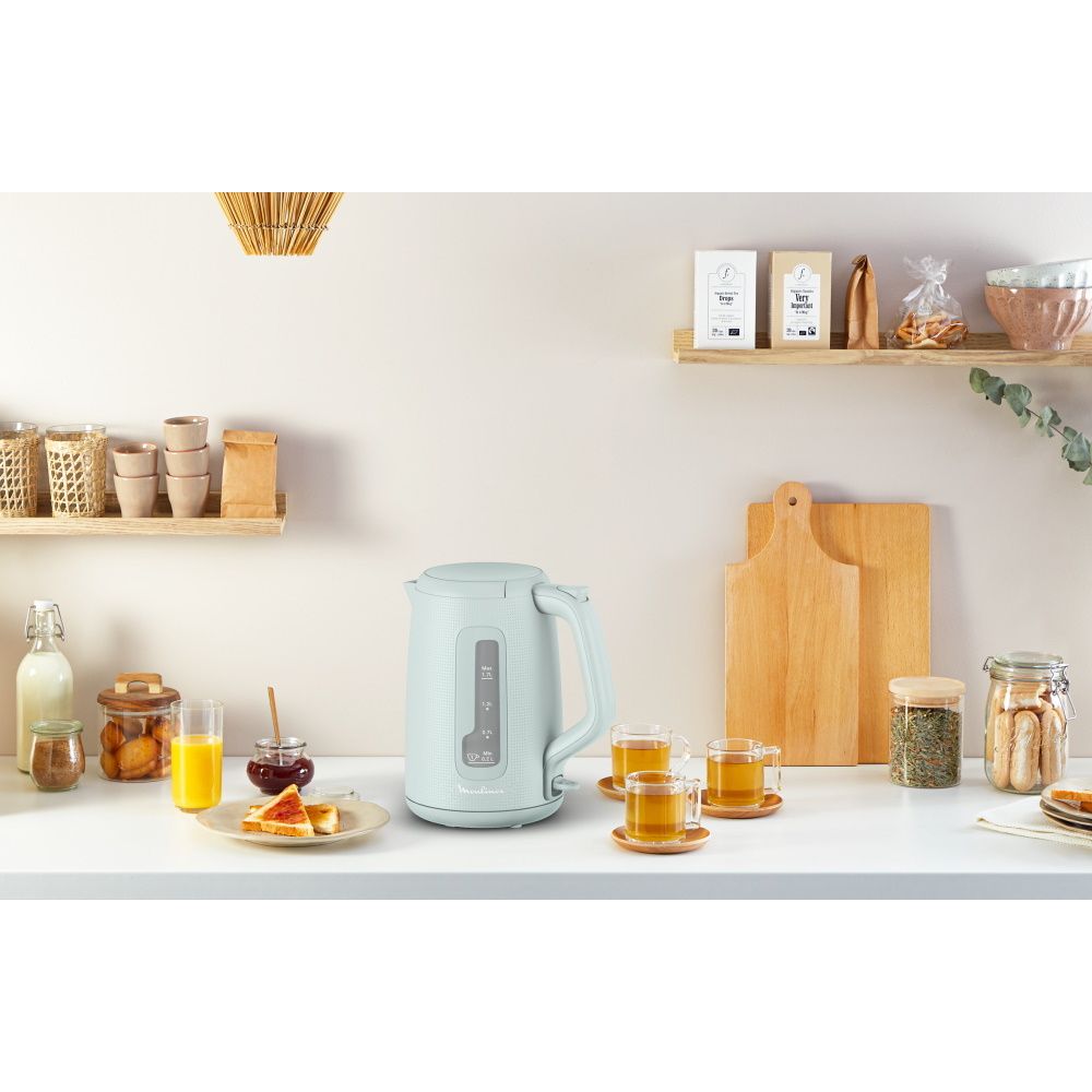 ������ Moulinex  �������  BY2M1310