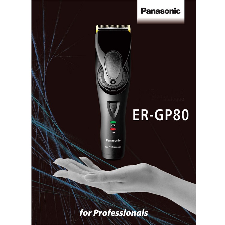 ����� ������ Panasonic ������� ERGP80