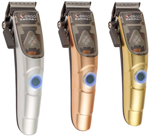 ����� ������ ������� Gamma Piu ��� X-ERGO