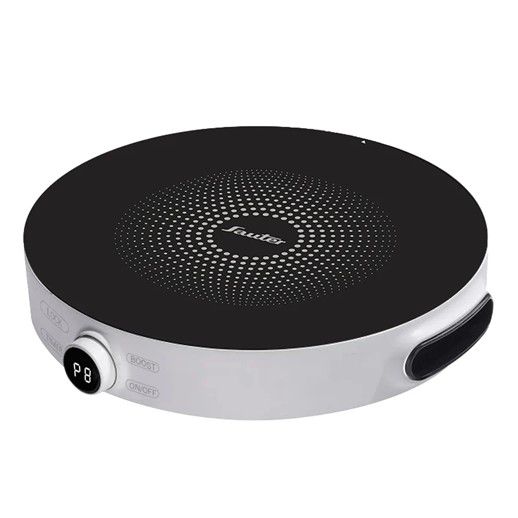 ������ ��������� SAUTER ����� ��� INP313W