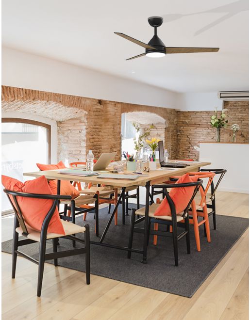 ������ ���� 48" NORTHER  +��� ��� 24W CCT ��� ���� + ������ ����+ �� YOUNG