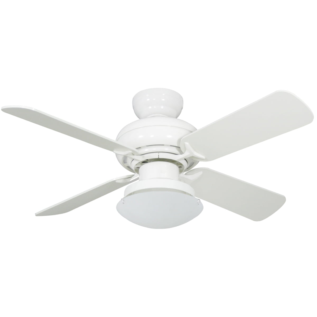 ������ ���� ����  ElectroStar Star 4 36