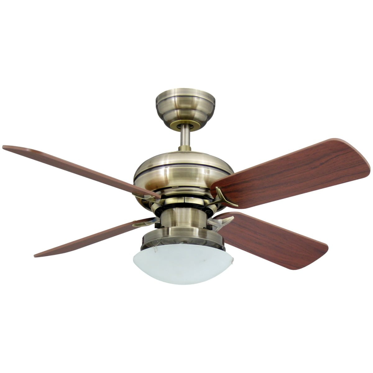 ������ ���� ����  ElectroStar Star 4 36