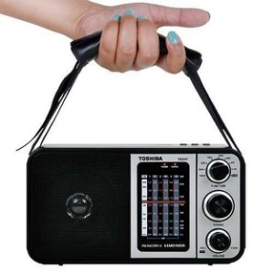 ���� ��������� ������ ������ TOSHIBA TY-HRU30