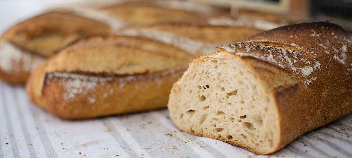 אופה לחם איכותי אופה לחם איכותי